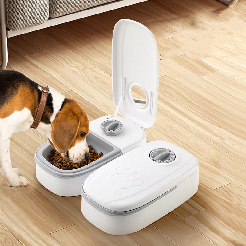 Grey single-meal timed feeder for cats and dogs